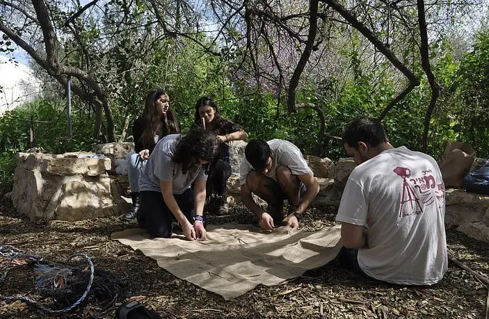 חדר בריחה להציל את הכבשה 0