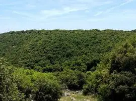 גליל