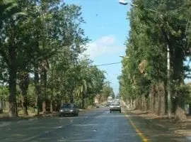 בנימינה