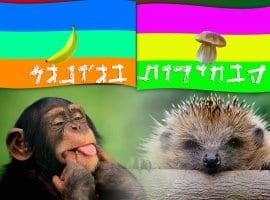 הבחירות בגונגל