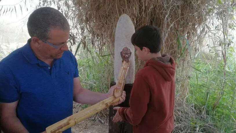 חדר בריחה שיקוי הנעורים הנבטי 1