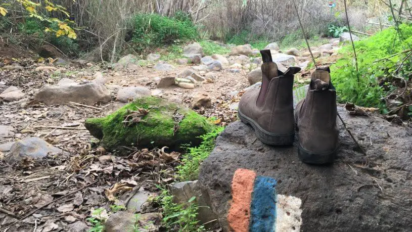 חדר בריחה קווסט שביל ישראל 0